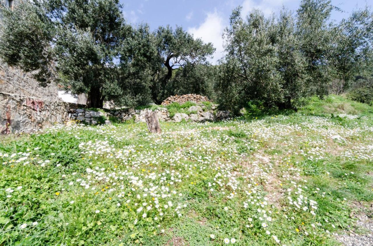 Apartmani Popovic Babino Polje Exterior foto